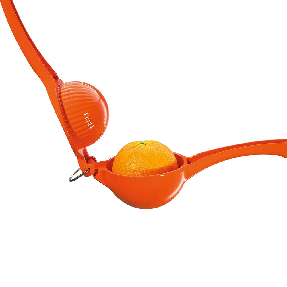 Cilio Arancia Sinaasappelpers - oranje