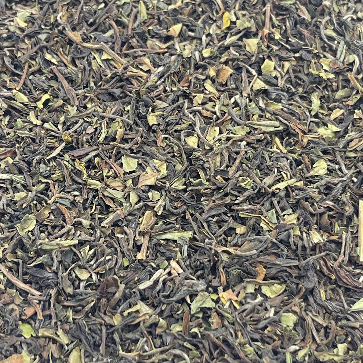 Darjeeling 1st Flush