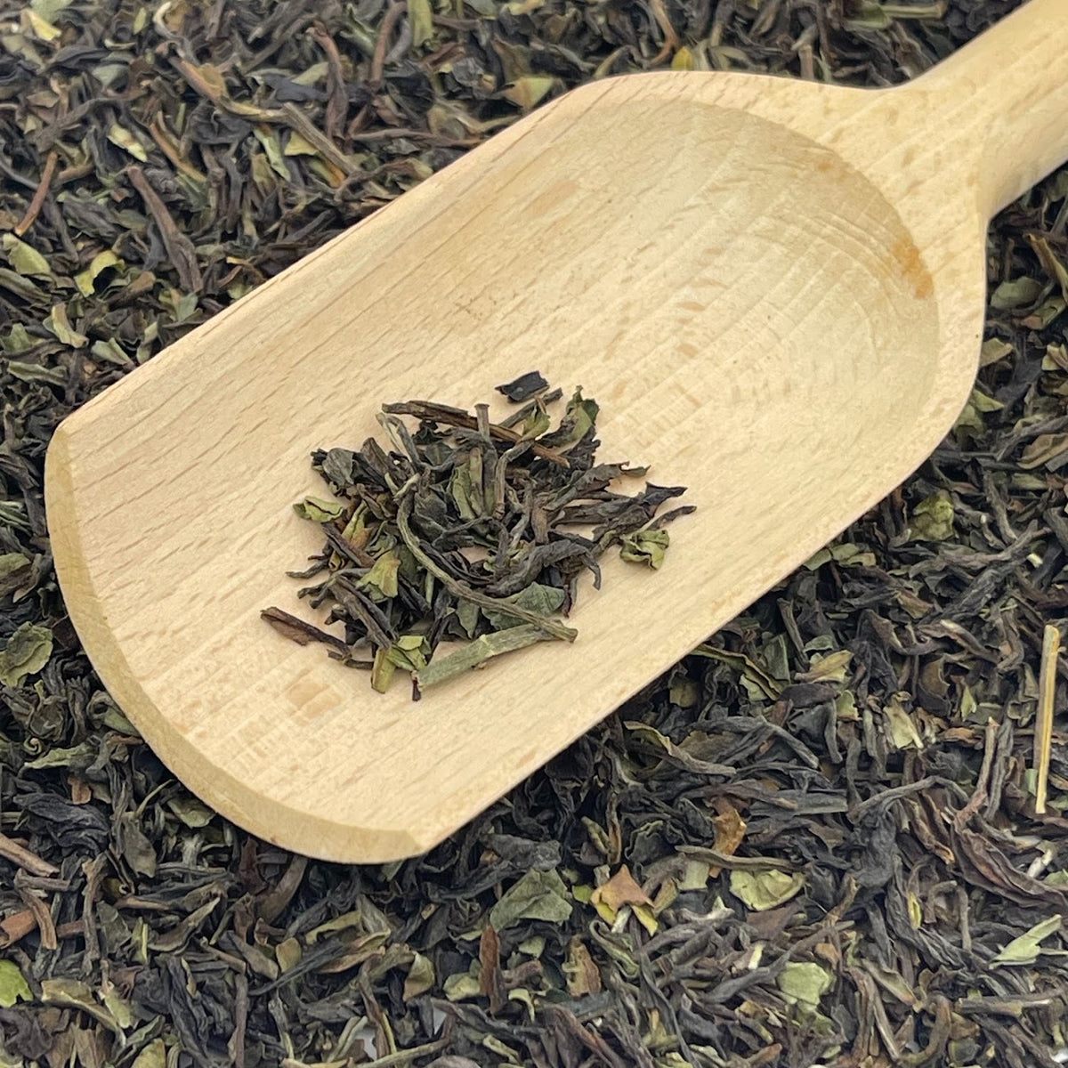 Darjeeling 1st Flush