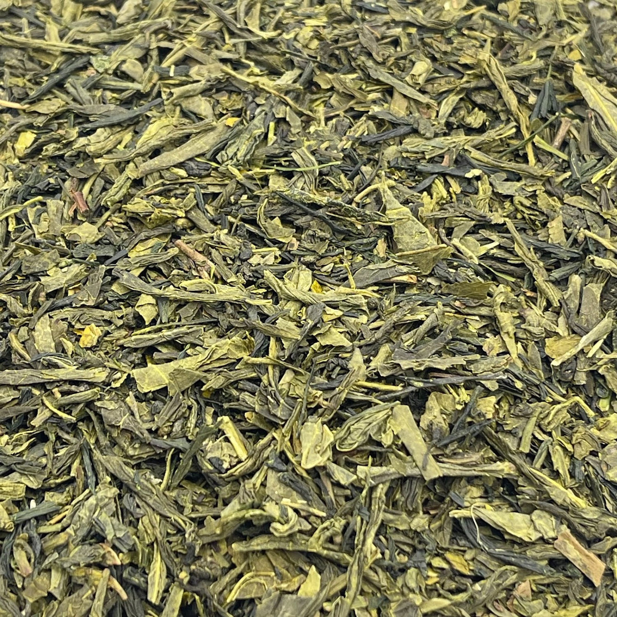 Japan sencha Kakegawa