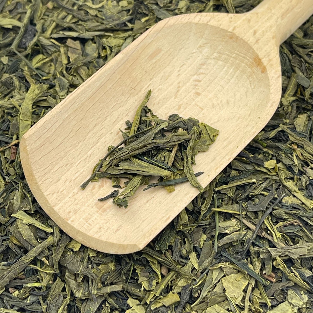 Japan sencha Kakegawa