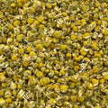 Kamillebloemen