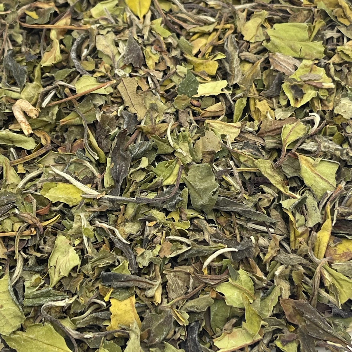 Pai mu tan