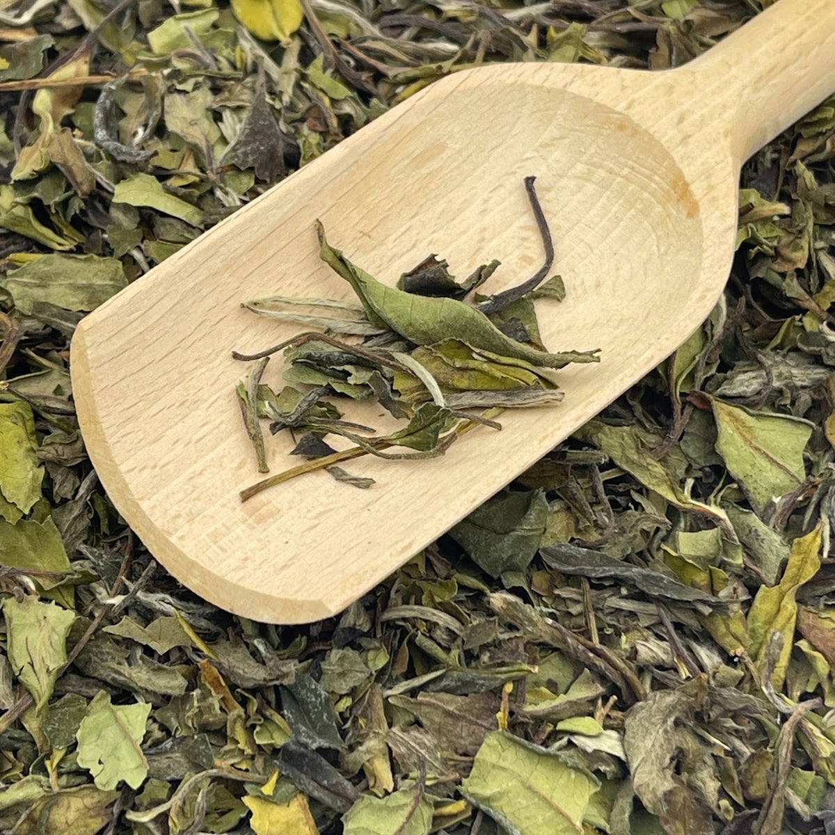 Pai mu tan