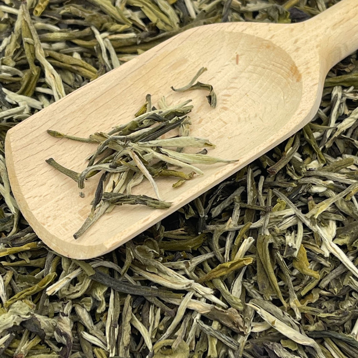 Silver needle