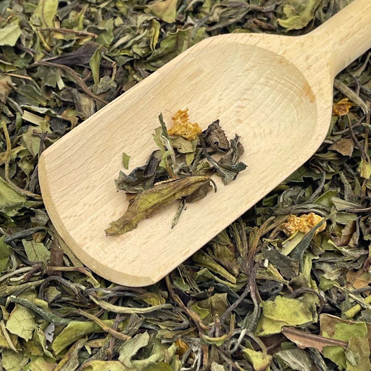 White Ginger lemon